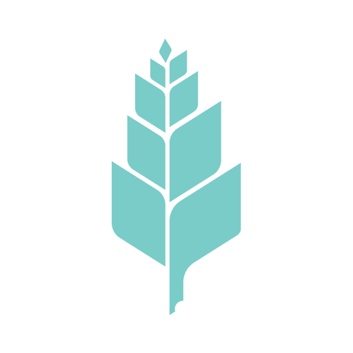 لیست بهترین مجتمعهای آموزشی